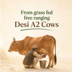 Buy Mato Pure Cow Ghee - Himalayan A2 Ghee